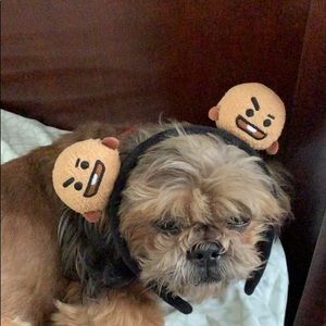 Meet your Posher, Khang